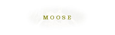 Subtitle Moose